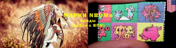 метадон Алексин