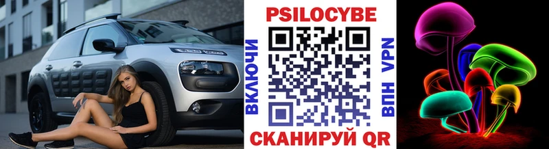 Псилоцибиновые грибы Psilocybine cubensis  купить наркотик  Ладушкин 